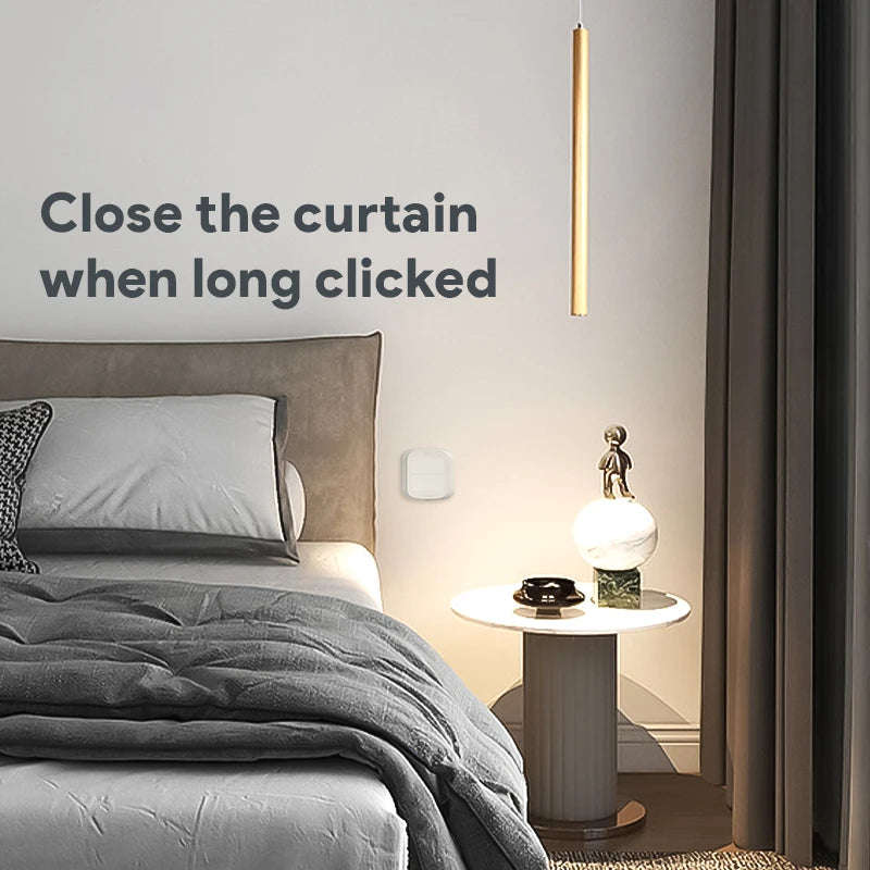 Tuya WiFi/ZigBee 2-Gang Wireless Scene Switch