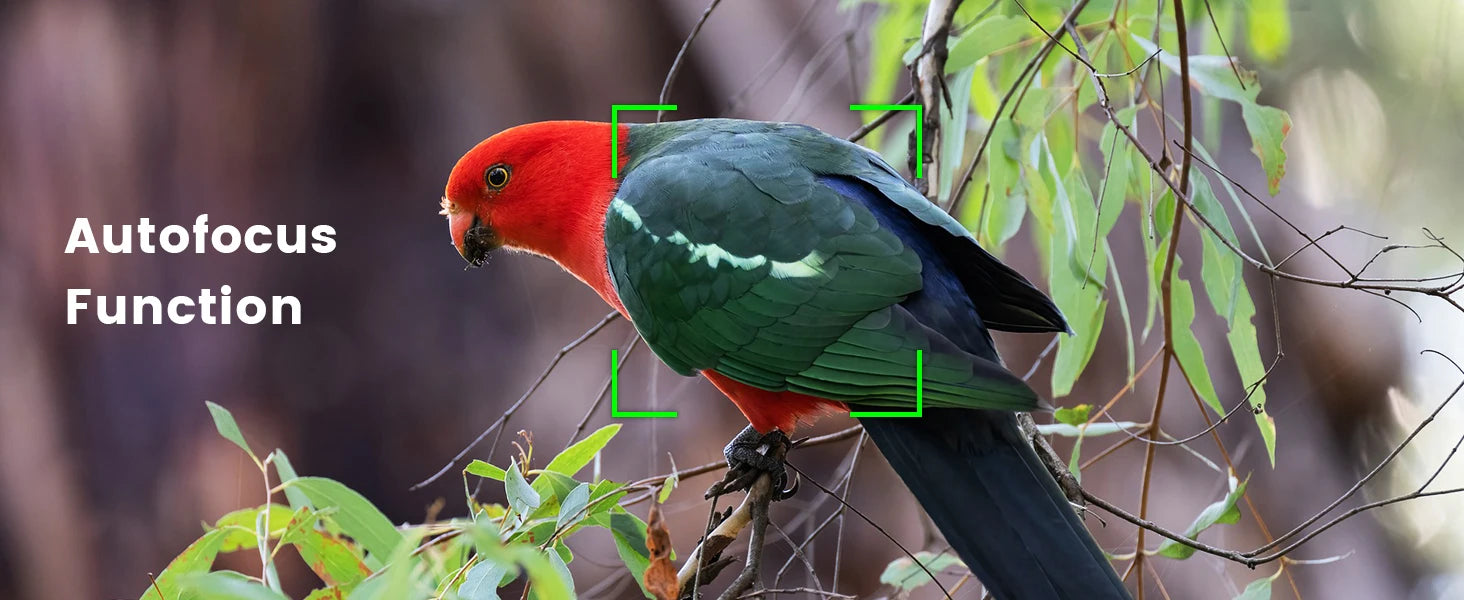 64MP 4K Compact Vlogging Camera with WiFi & Flip Screen