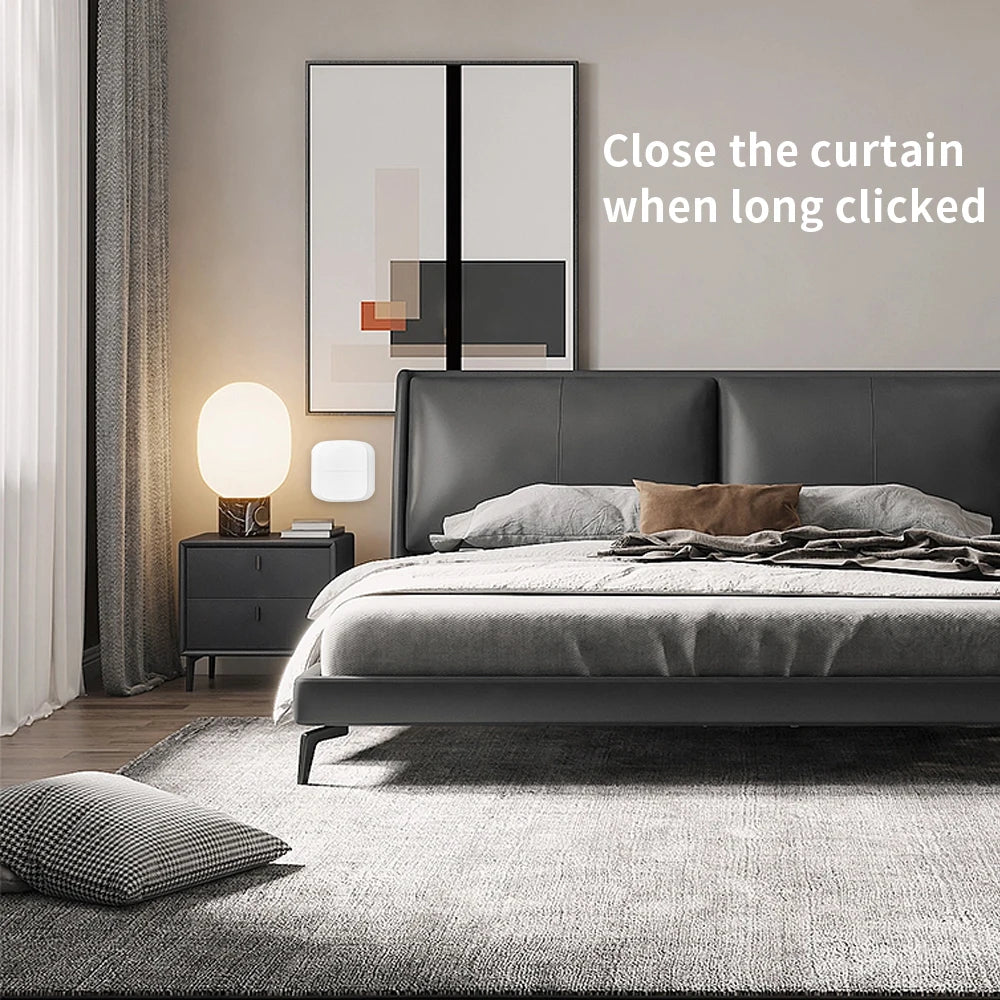 Tuya WiFi/ZigBee 2-Gang Wireless Scene Switch