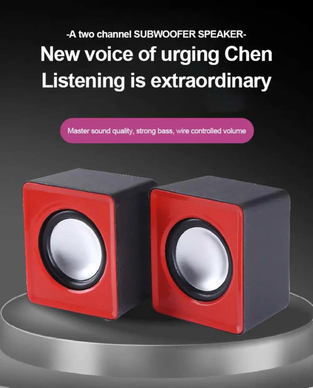 Mini Digital Voice & Audio Recorder